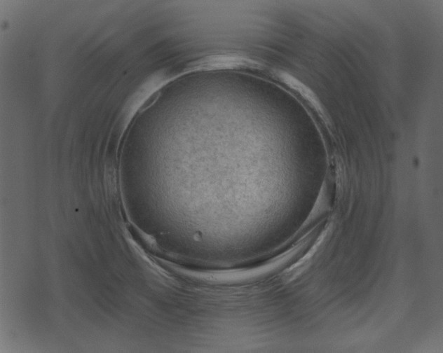 X0000070861473200606231240