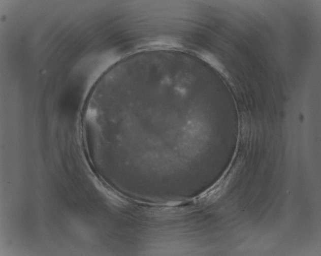 X0000070861474200606231240