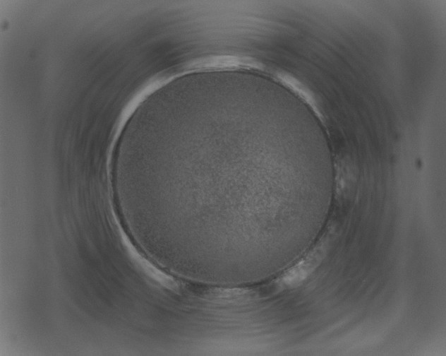 X0000070861475200606231240