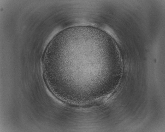 X0000070861476200606231240