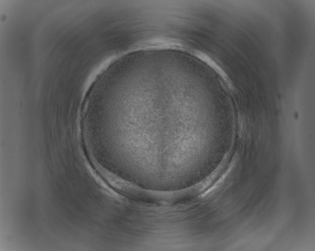 X0000070861477200606231240