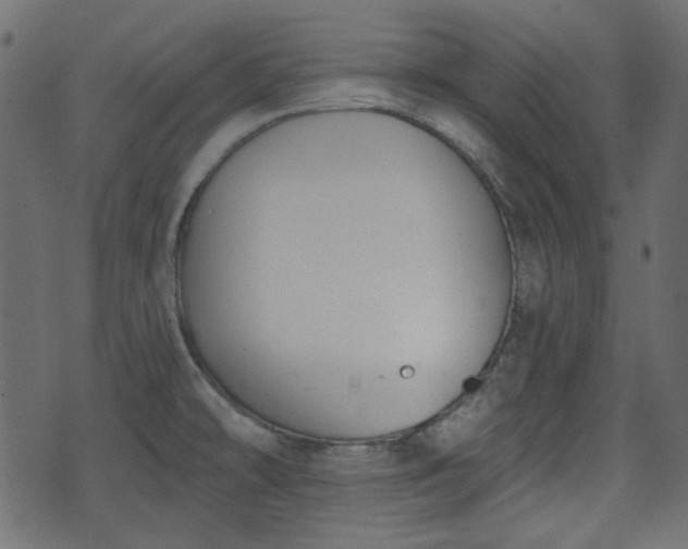 X0000070861478200606231240