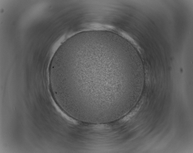 X0000070861479200606231240