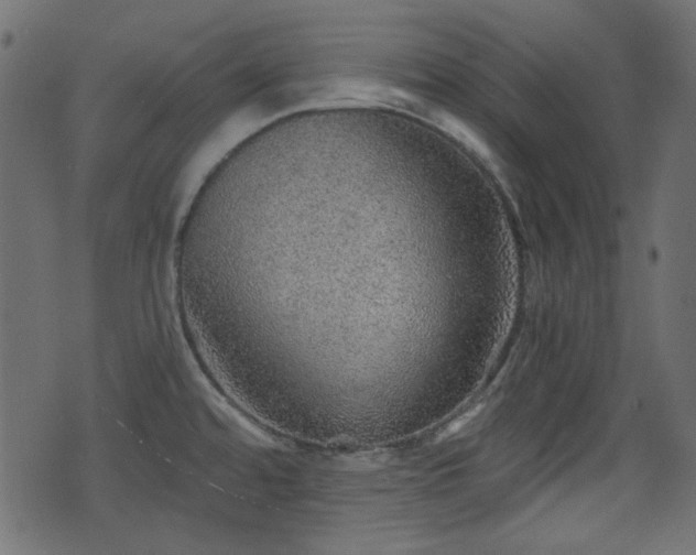 X0000070861480200606231240