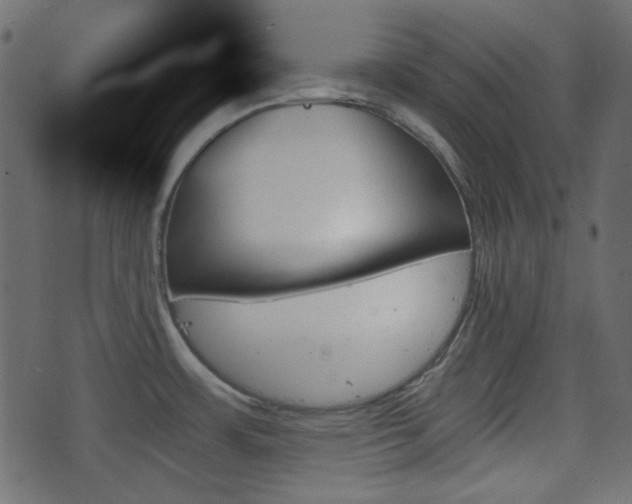 X0000070861483200606231240