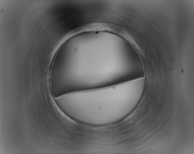 X0000070861484200606231240