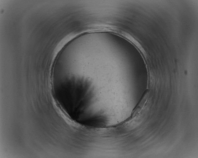 X0000070861485200606231240