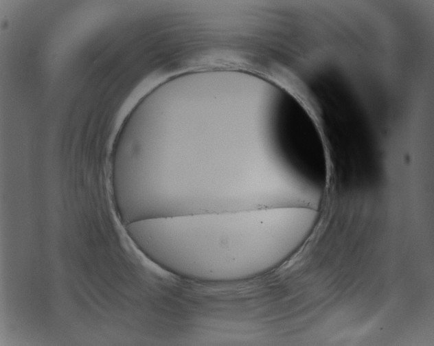 X0000070861486200606231240