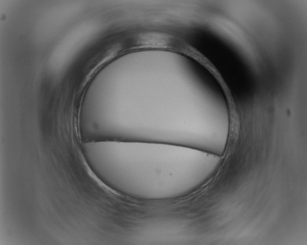 X0000070861487200606231240