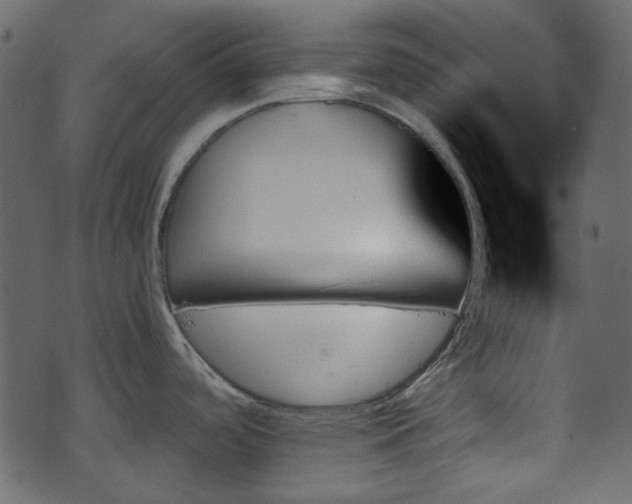 X0000070861488200606231240