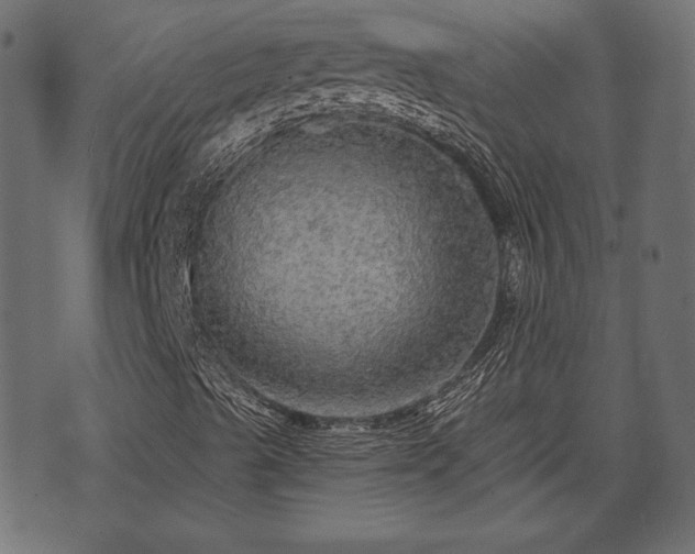 X0000070861489200606231239