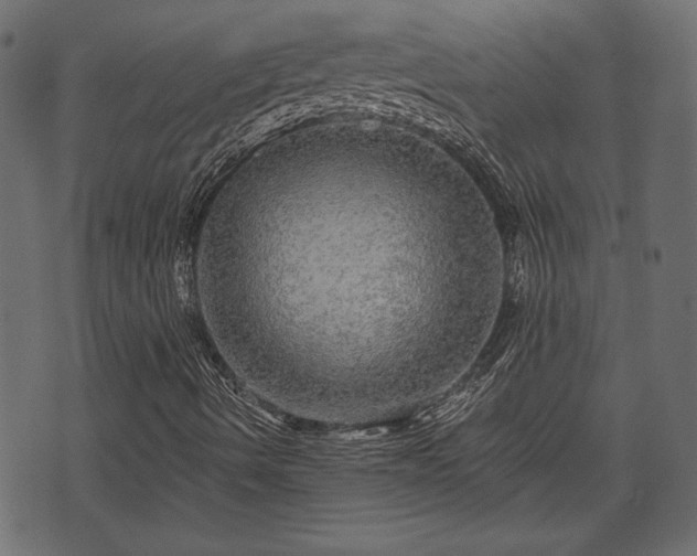 X0000070861490200606231239