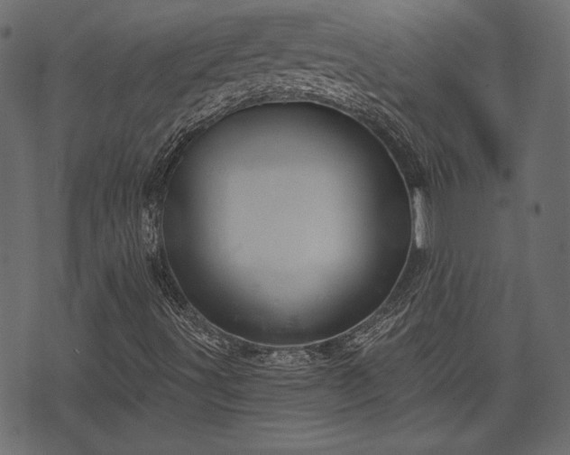 X0000070861491200606231239