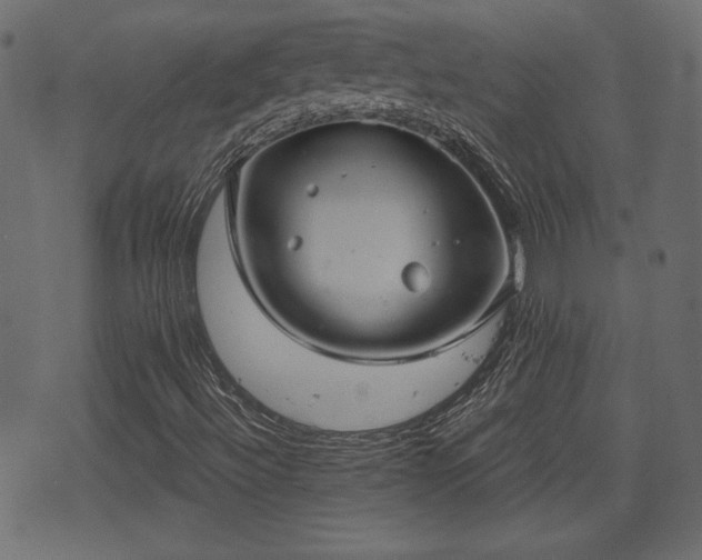 X0000070861492200606231239