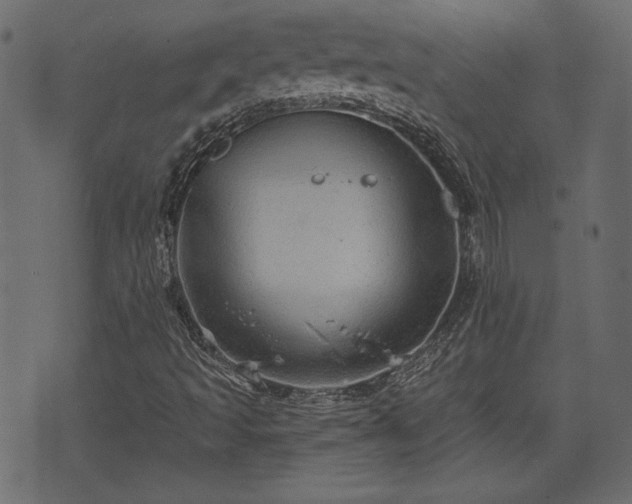 X0000070861493200606231239