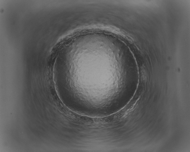 X0000070861494200606231239