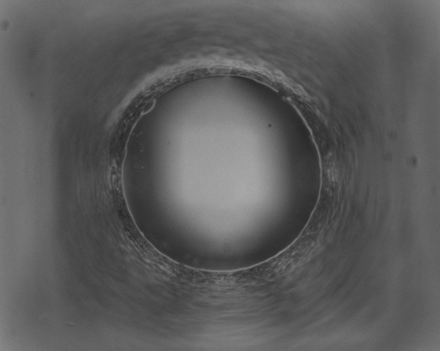 X0000070861495200606231240