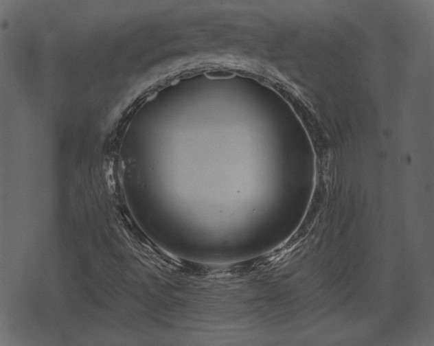 X0000070861496200606231240