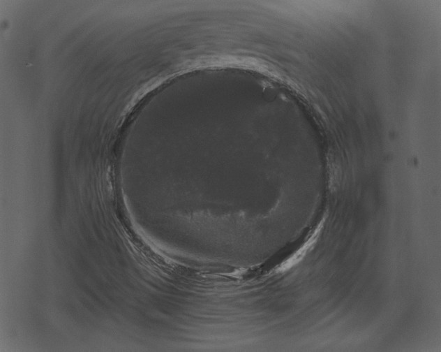 X0000070861497200606231240