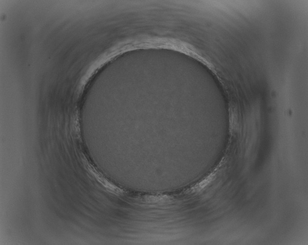 X0000070861498200606231240