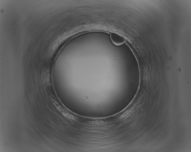 X0000070861499200606231240