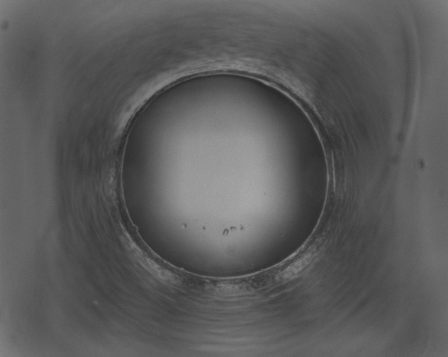 X0000070861500200606231240