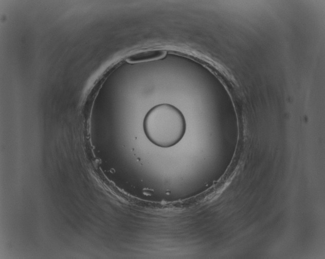 X0000070861502200606231240