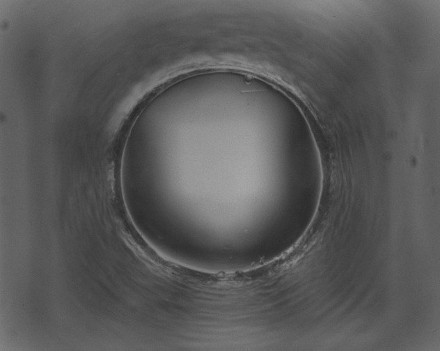 X0000070861503200606231240