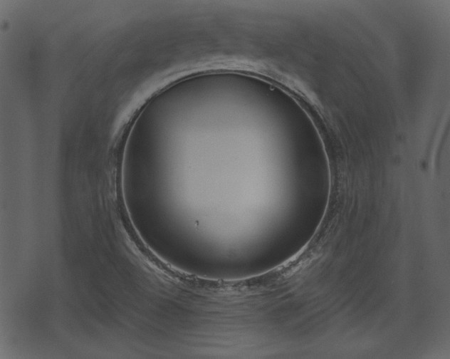 X0000070861504200606231240