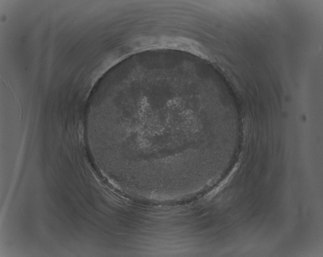 X0000070861505200606231240