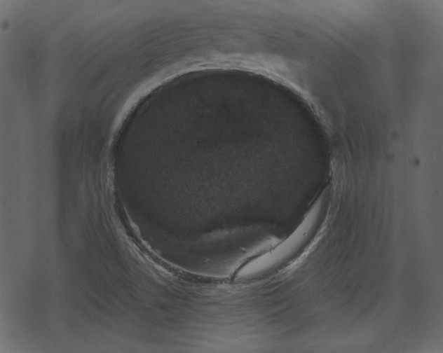 X0000070861506200606231240