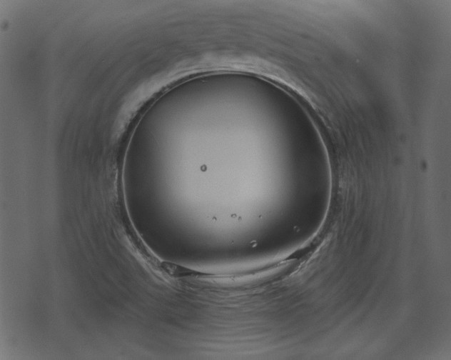 X0000070861507200606231240