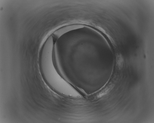 X0000070861508200606231240