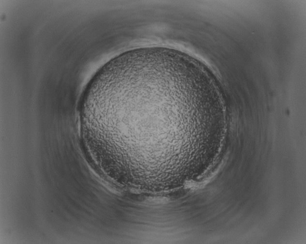 X0000070861509200606231240