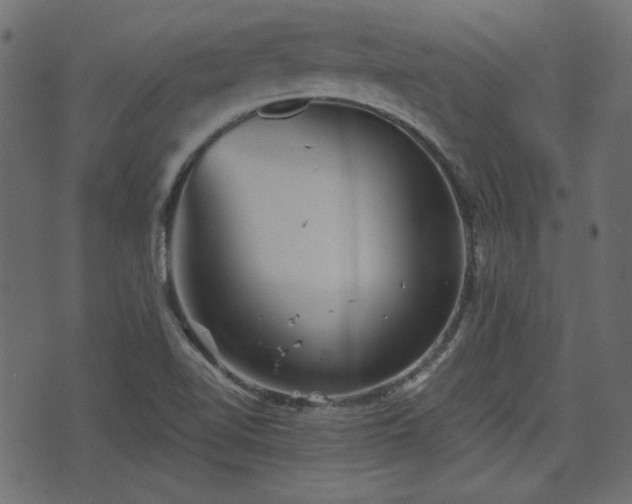 X0000070861510200606231240