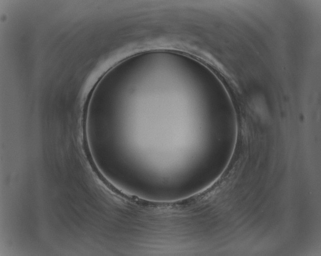 X0000070861512200606231240