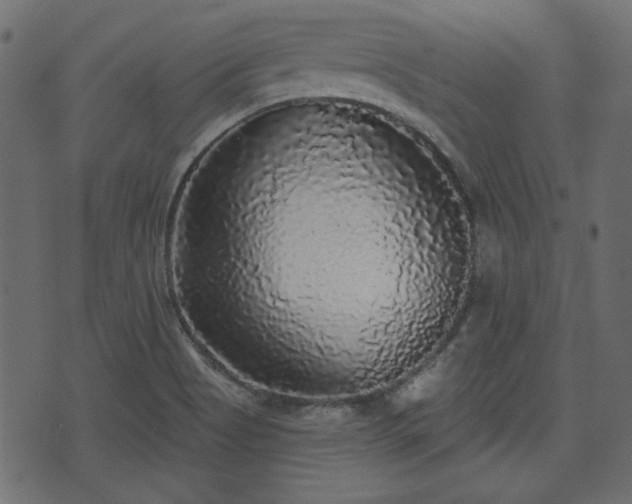 X0000070861513200606231240