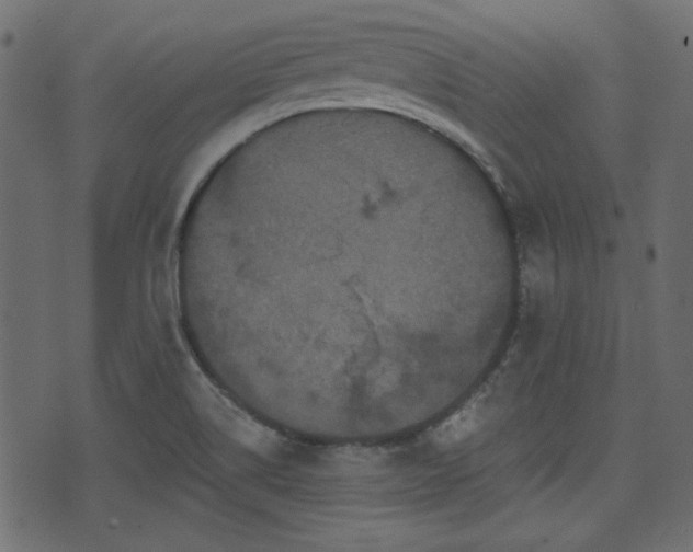 X0000070861514200606231240