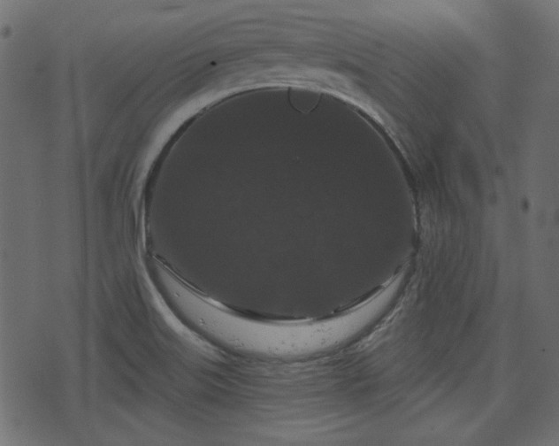 X0000070861515200606231240