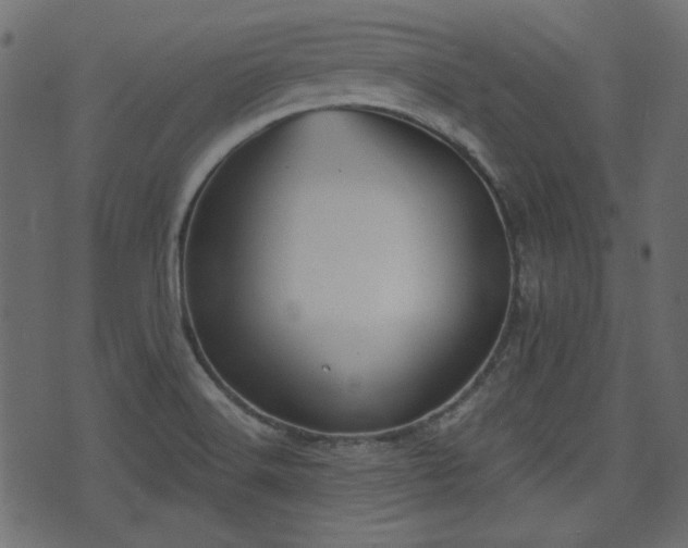 X0000070861516200606231240