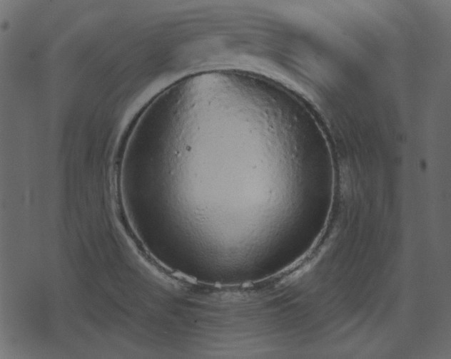 X0000070861517200606231240