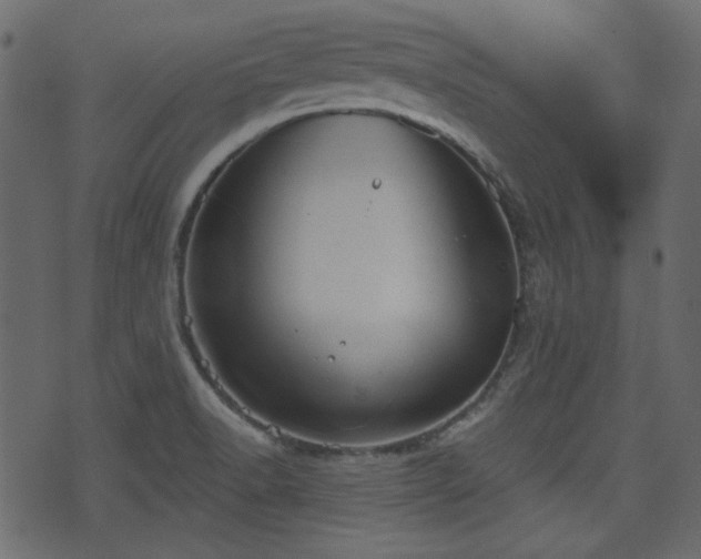 X0000070861518200606231240