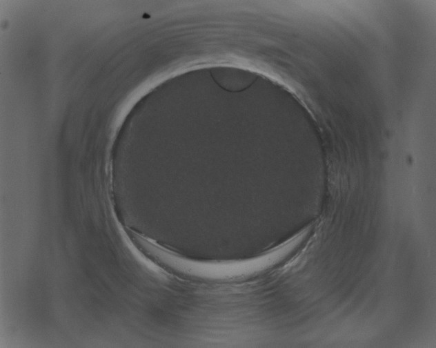 X0000070861519200606231240