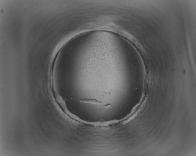 X0000070861520200606231240