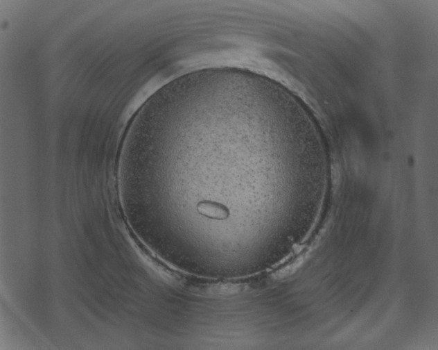 X0000070861521200606231240