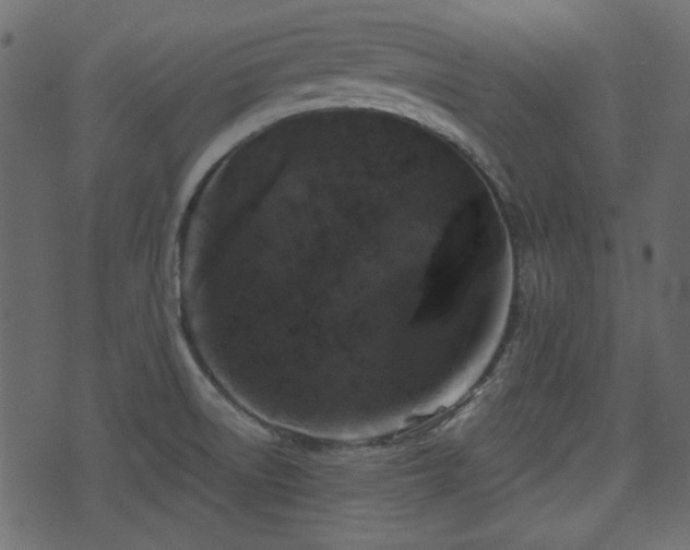 X0000070861522200606231240