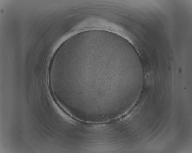 X0000070861523200606231240