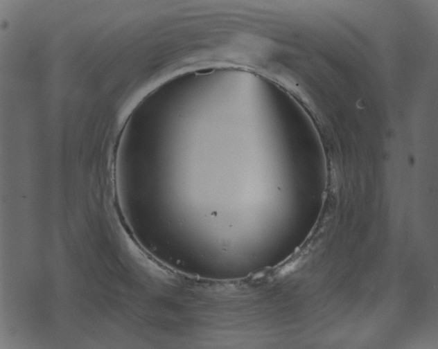 X0000070861524200606231240