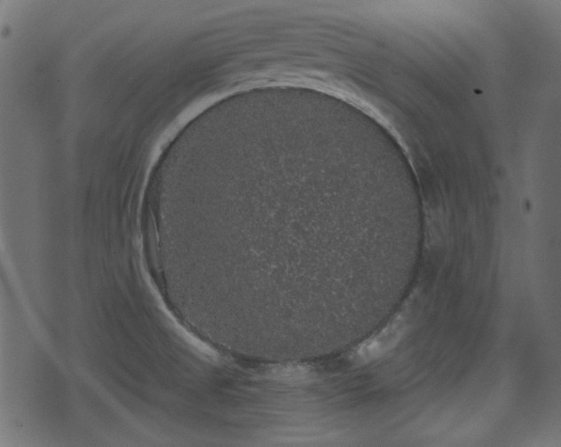 X0000070861525200606231240