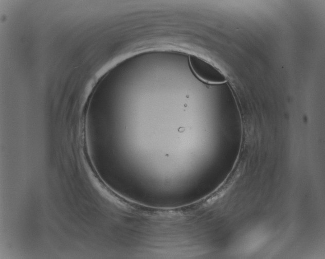 X0000070861526200606231240